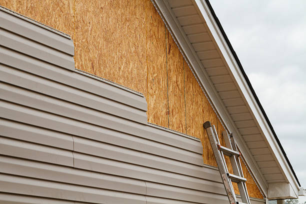 Professional Wood Siding technician working in Wauchula, FL